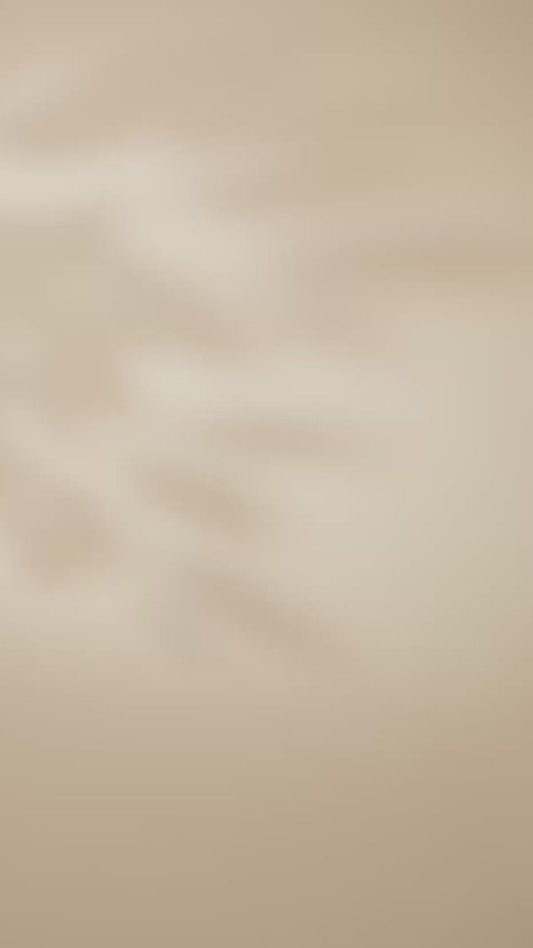 LaVita'yı bu kadar özel kılan nedir?